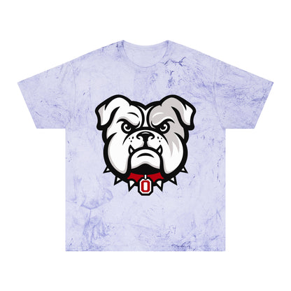 Color Blast School Spirit Tee