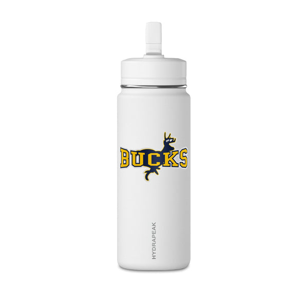 Mini Water Bottle, 20oz