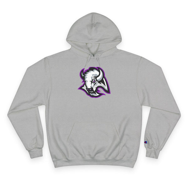Champion Powerblend Fleece Pullover Hoodie