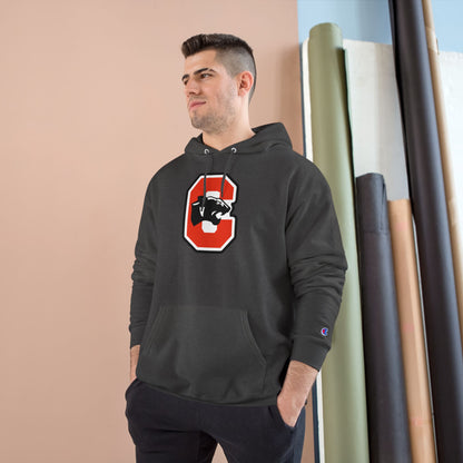 Champion Powerblend Fleece Pullover Hoodie