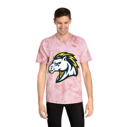 Color Blast School Spirit Tee