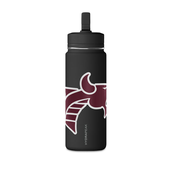 Mini Water Bottle, 20oz