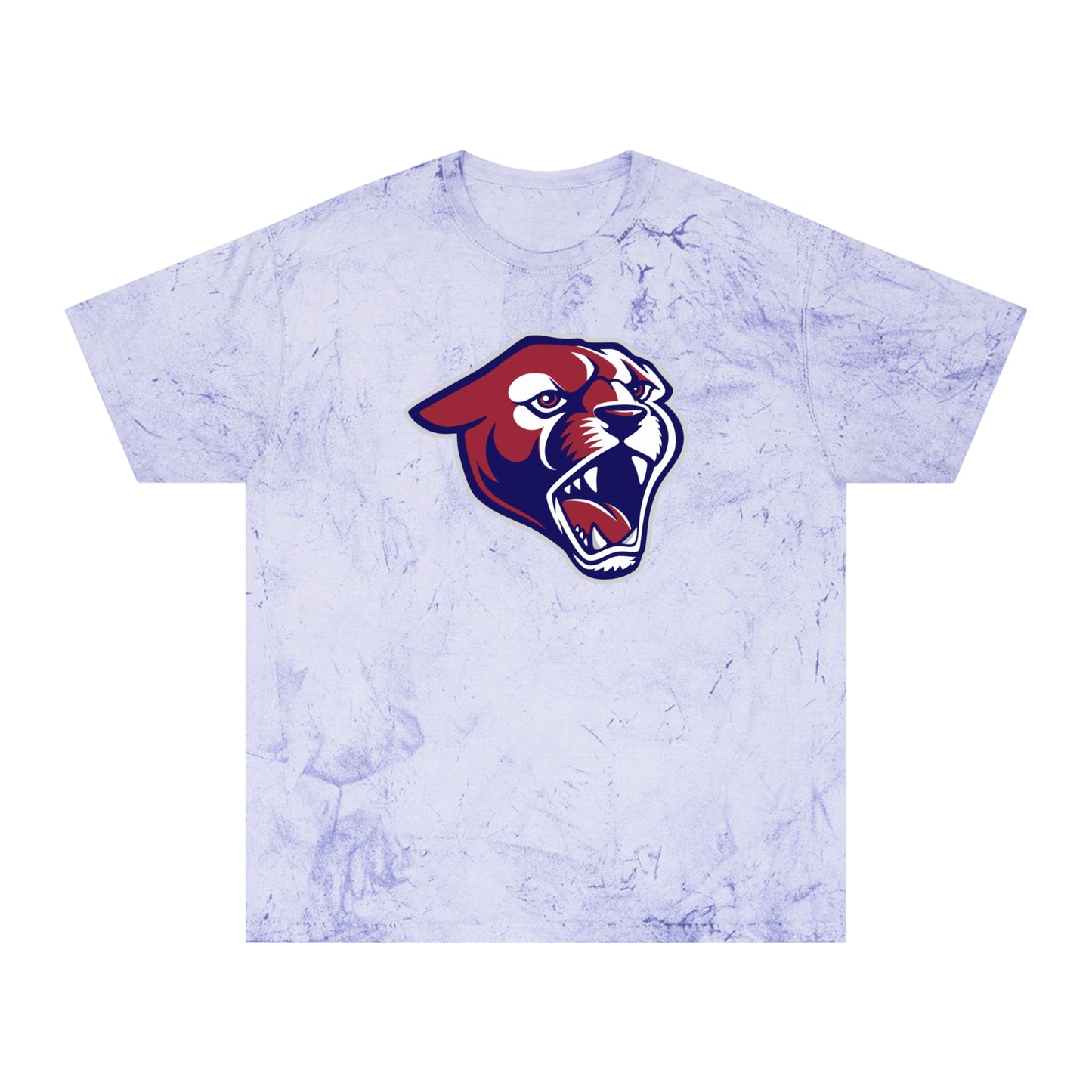 Color Blast School Spirit Tee