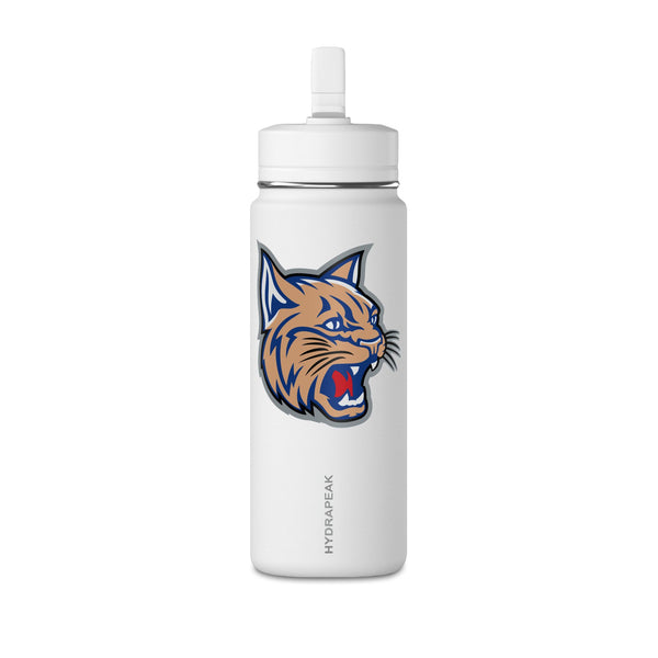 Mini Water Bottle, 20oz