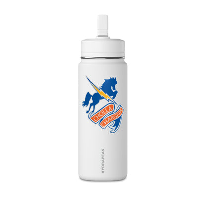 Mini Water Bottle, 20oz