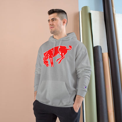 Champion Powerblend Fleece Pullover Hoodie