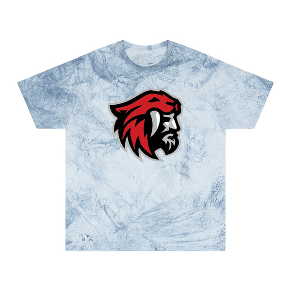 Color Blast School Spirit Tee