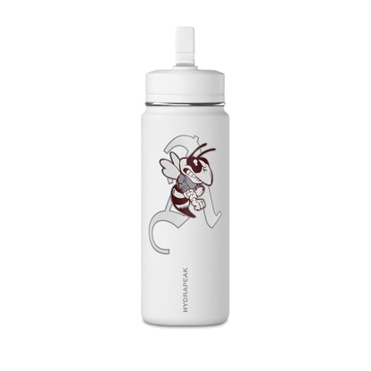 Mini Water Bottle, 20oz