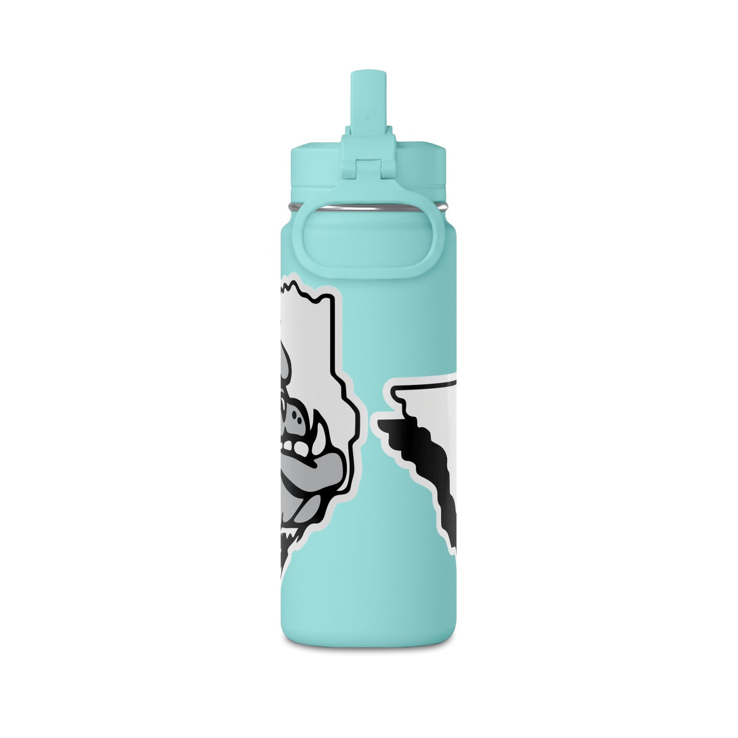 Mini Water Bottle, 20oz