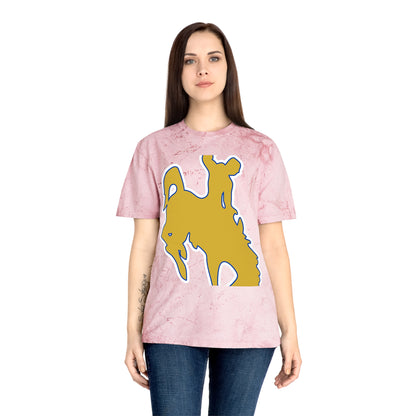Color Blast School Spirit Tee