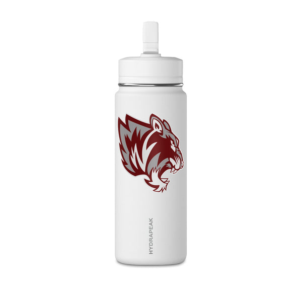 Mini Water Bottle, 20oz