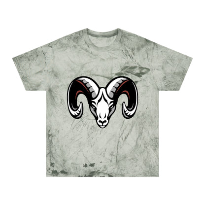 Color Blast School Spirit Tee