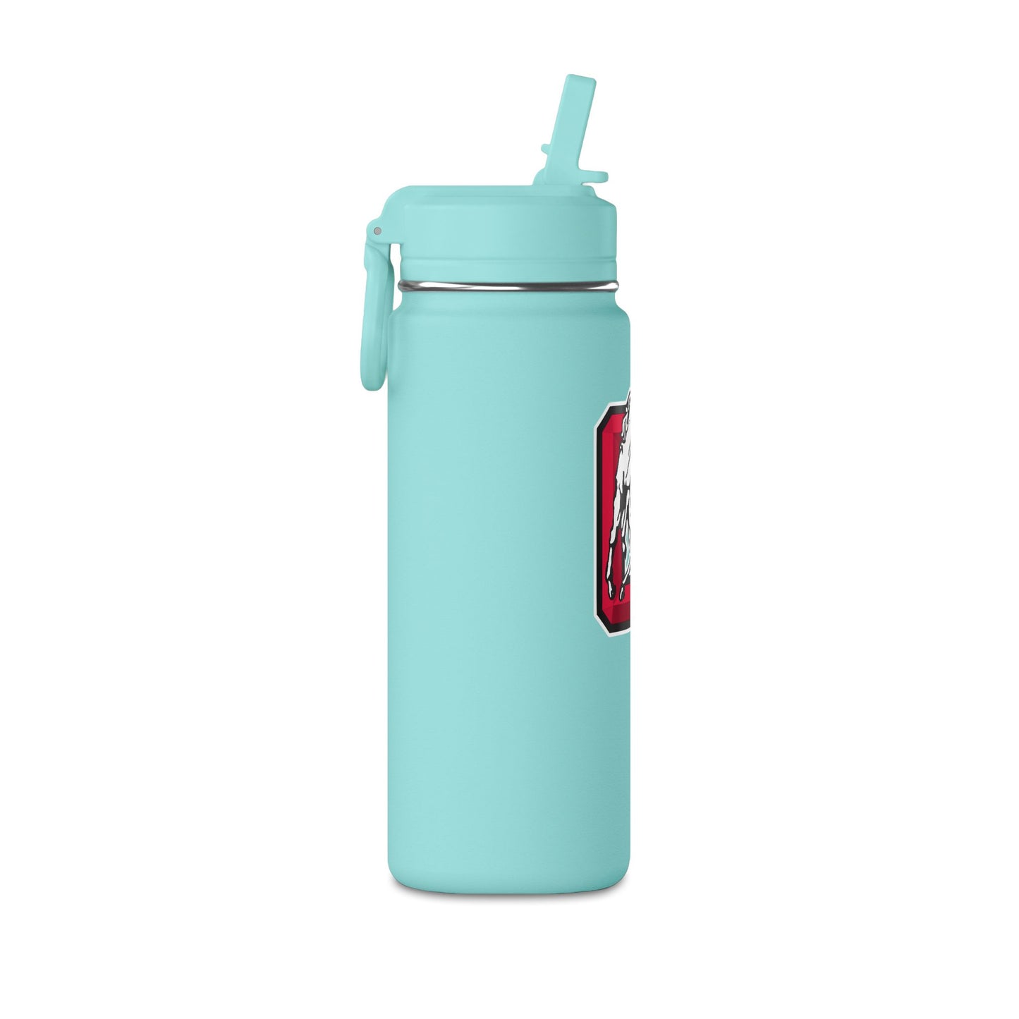 Mini Water Bottle, 20oz