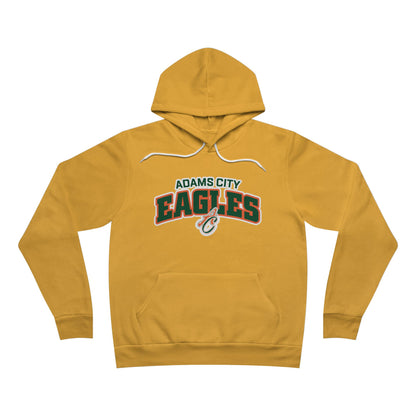 Sponge Fleece Pullover Hoodie