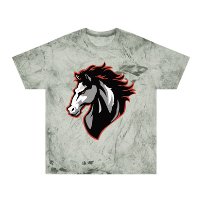 Color Blast School Spirit Tee