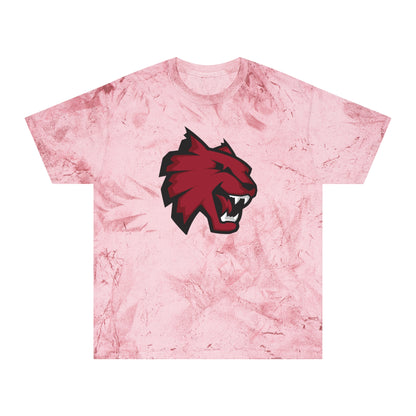Color Blast School Spirit Tee