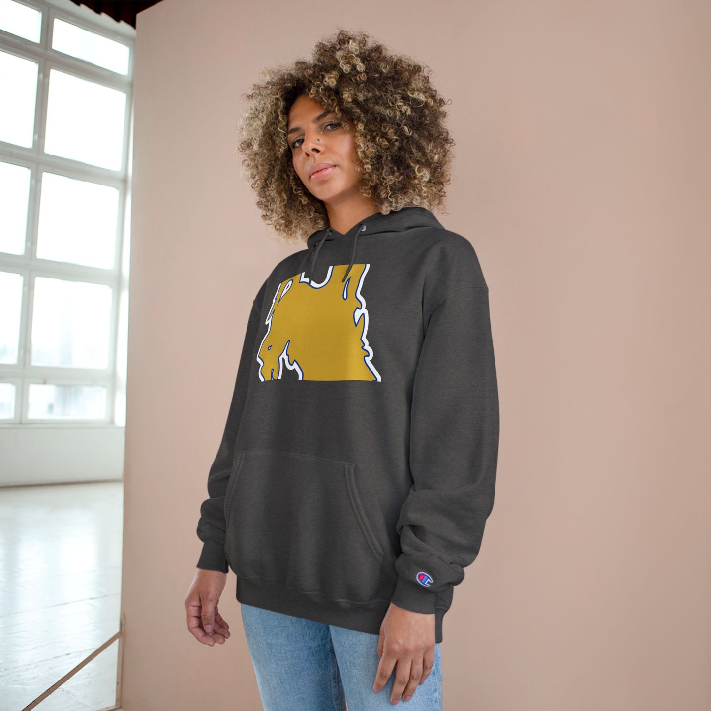 Champion Powerblend Fleece Pullover Hoodie
