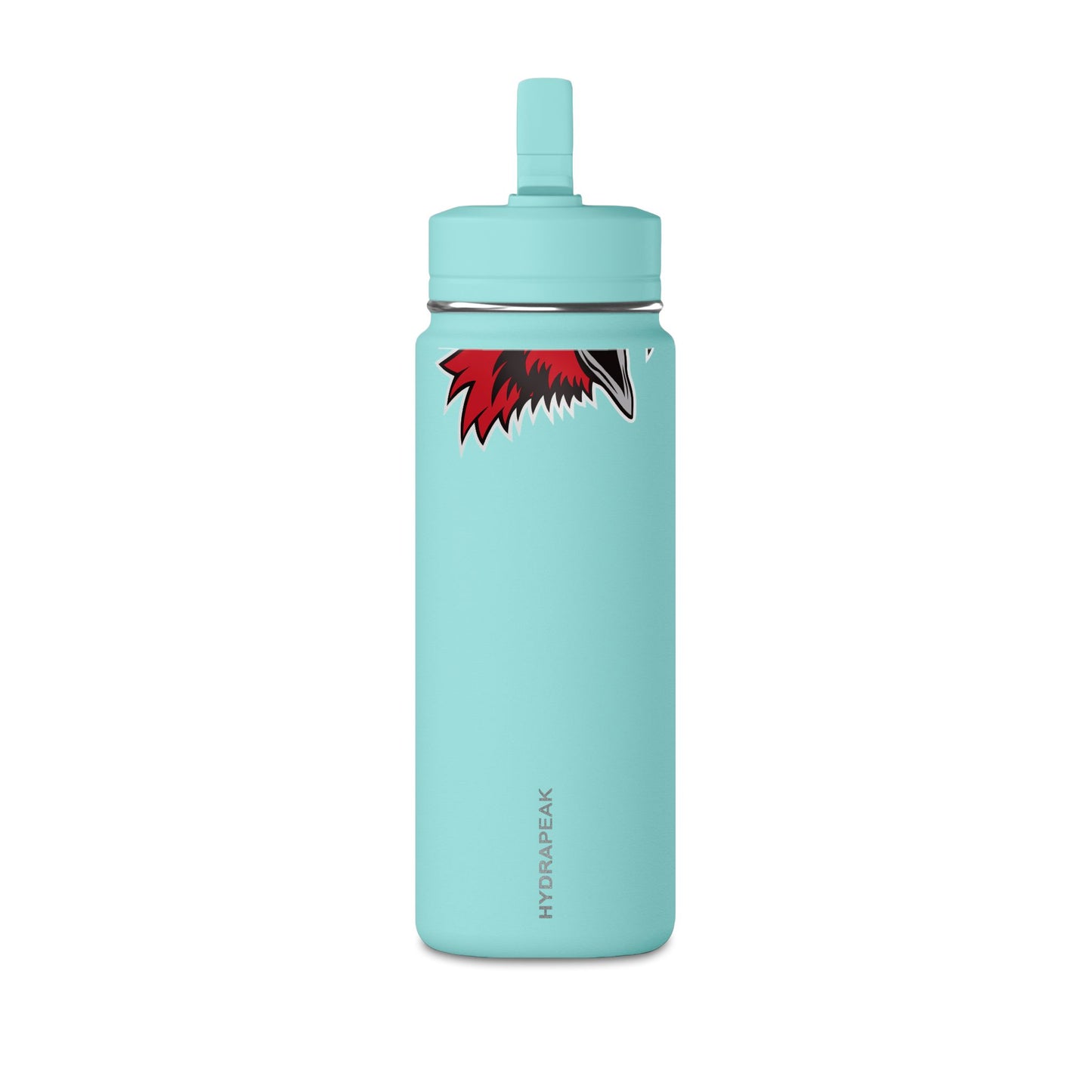 Mini Water Bottle, 20oz