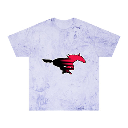 Color Blast School Spirit Tee