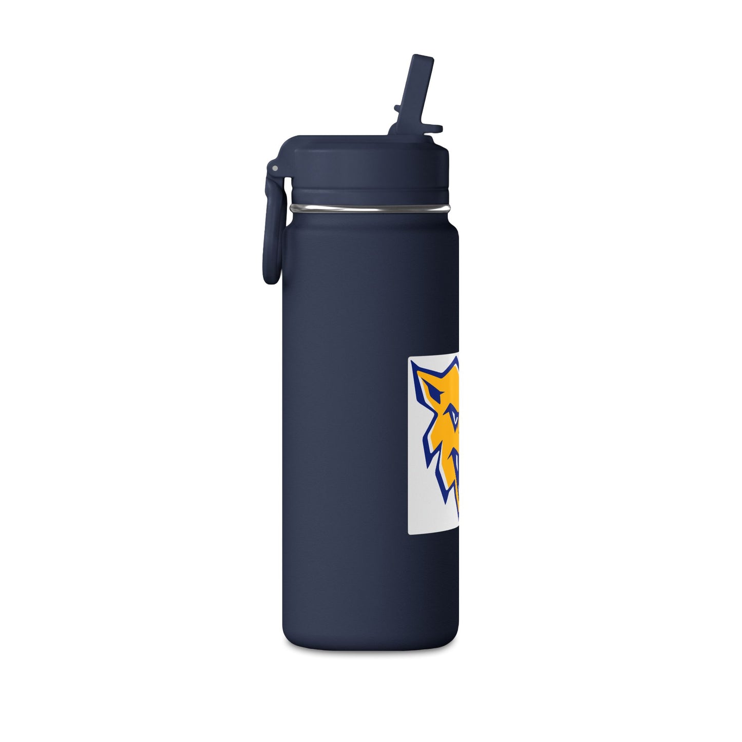 Mini Water Bottle, 20oz