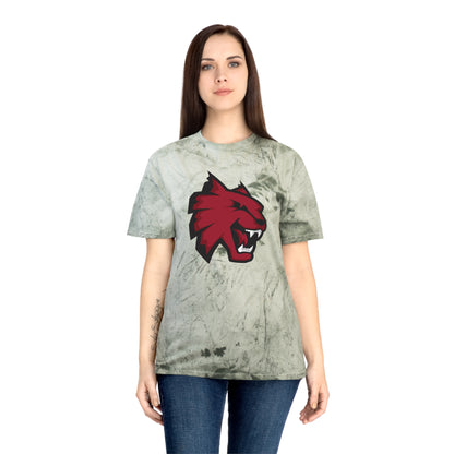 Color Blast School Spirit Tee