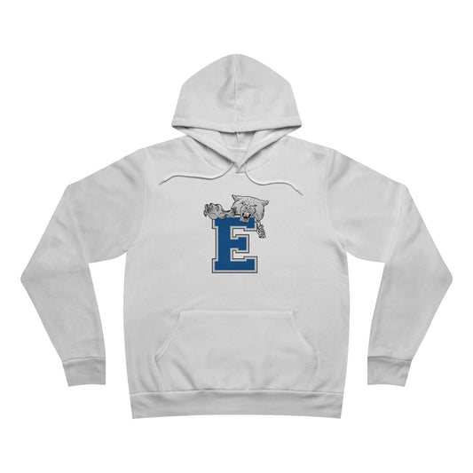 Sponge Fleece Pullover Hoodie