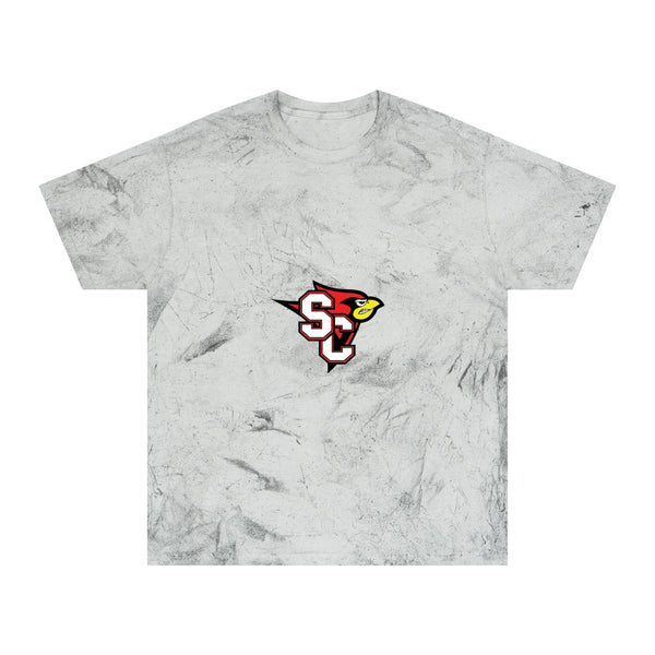 Color Blast School Spirit Tee