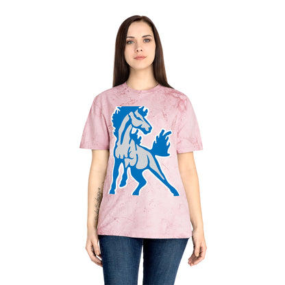 Color Blast School Spirit Tee