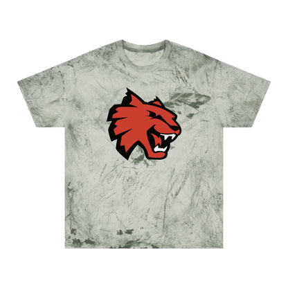 Color Blast School Spirit Tee