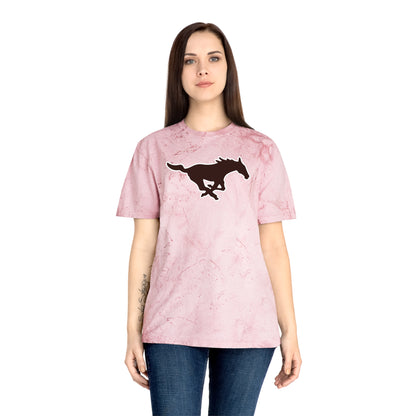 Color Blast School Spirit Tee