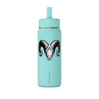 Mini Water Bottle, 20oz