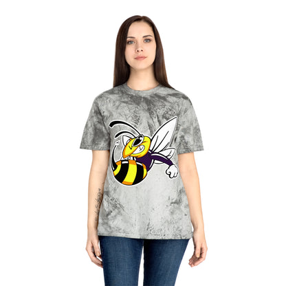 Color Blast School Spirit Tee