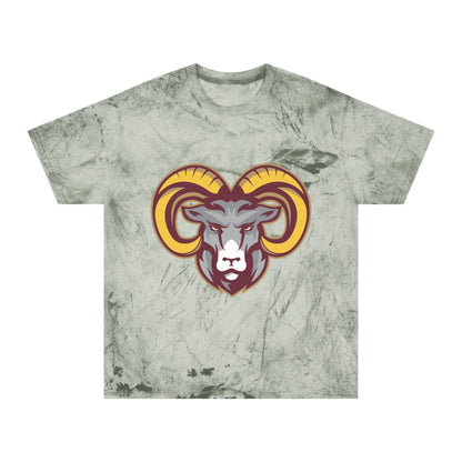 Color Blast School Spirit Tee