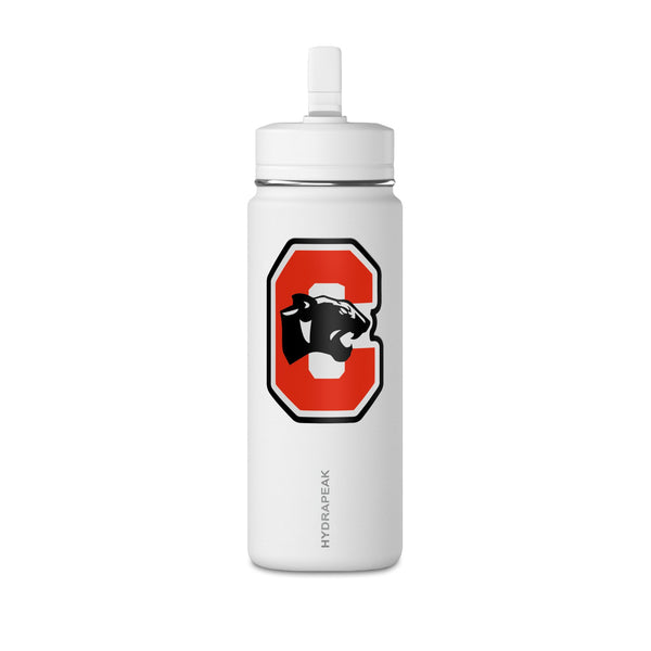 Mini Water Bottle, 20oz