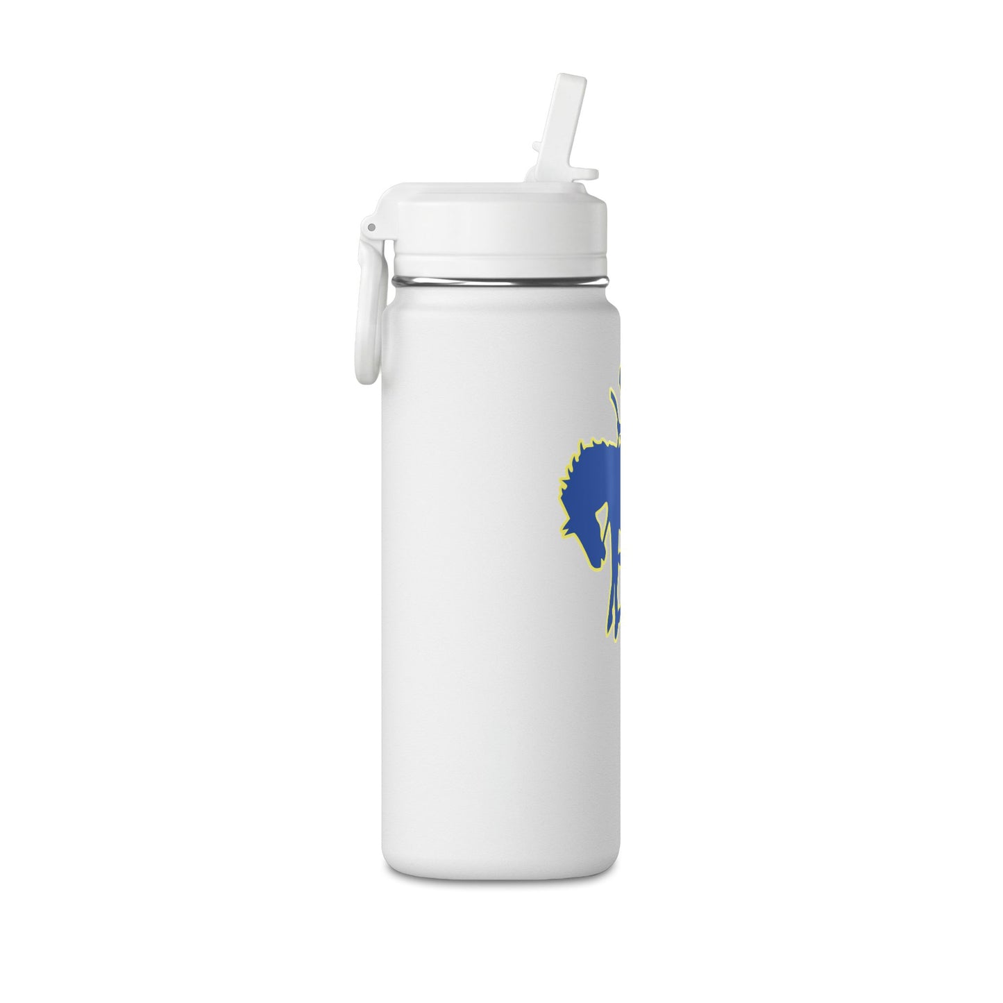 Mini Water Bottle, 20oz
