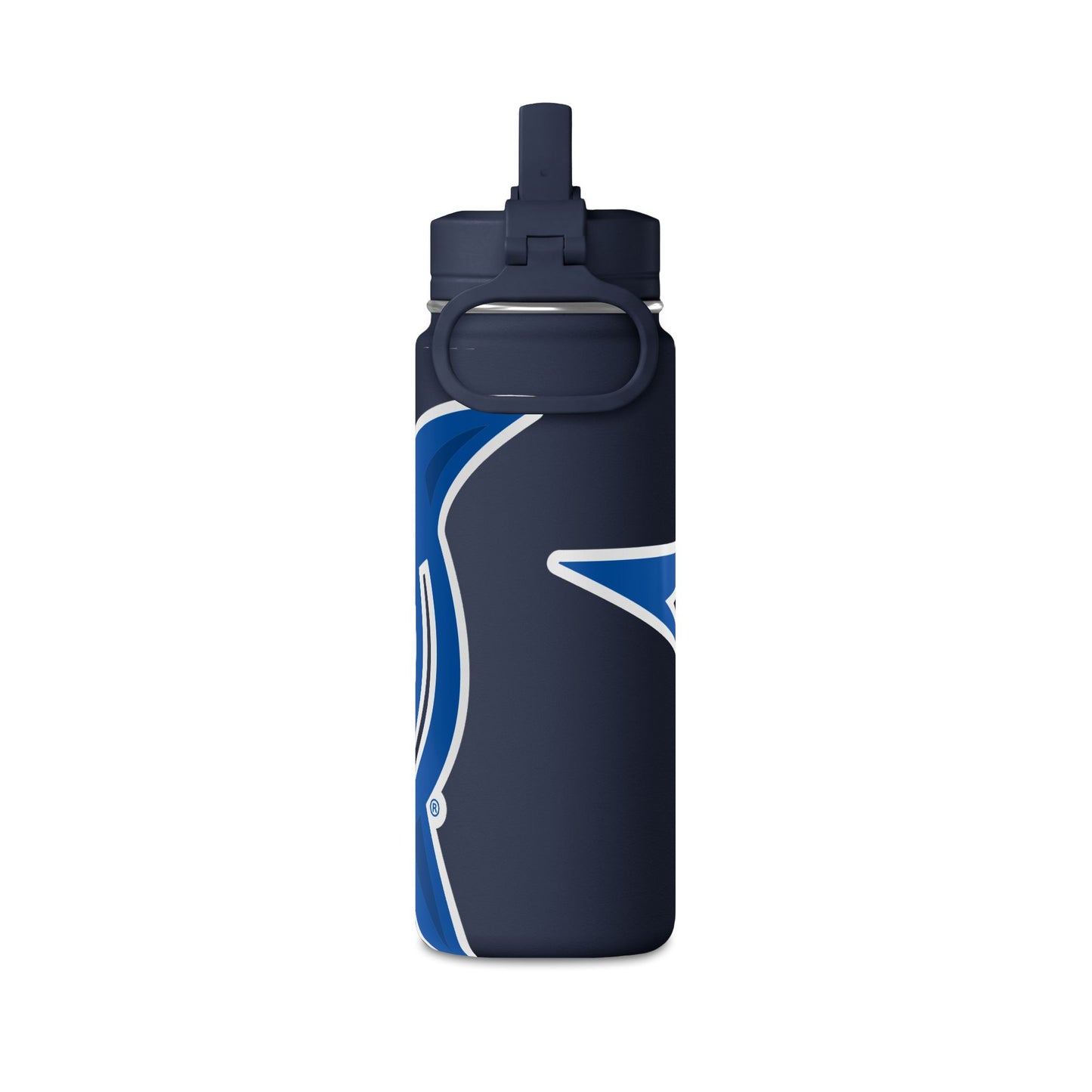 Mini Water Bottle, 20oz
