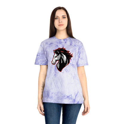 Color Blast School Spirit Tee