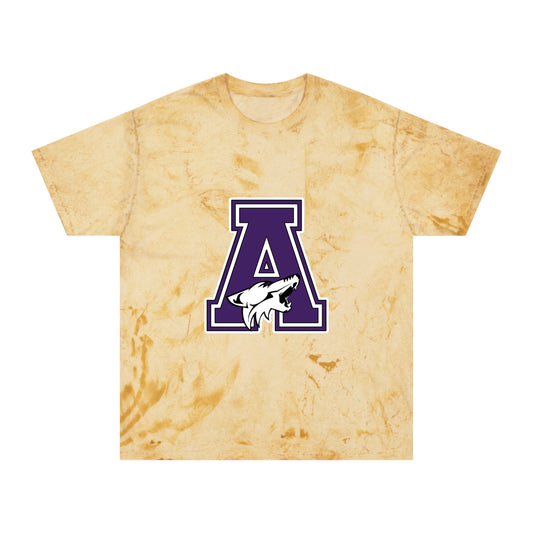 Color Blast School Spirit Tee