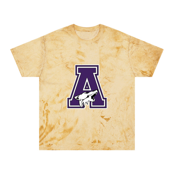 Color Blast School Spirit Tee