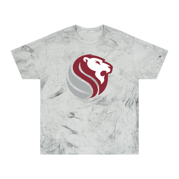 Color Blast School Spirit Tee