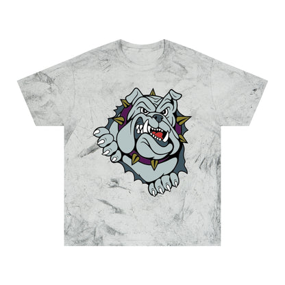 Color Blast School Spirit Tee