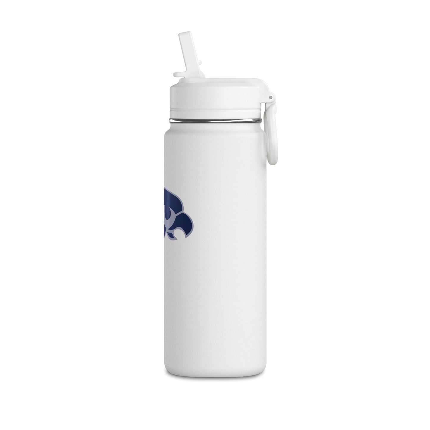Mini Water Bottle, 20oz
