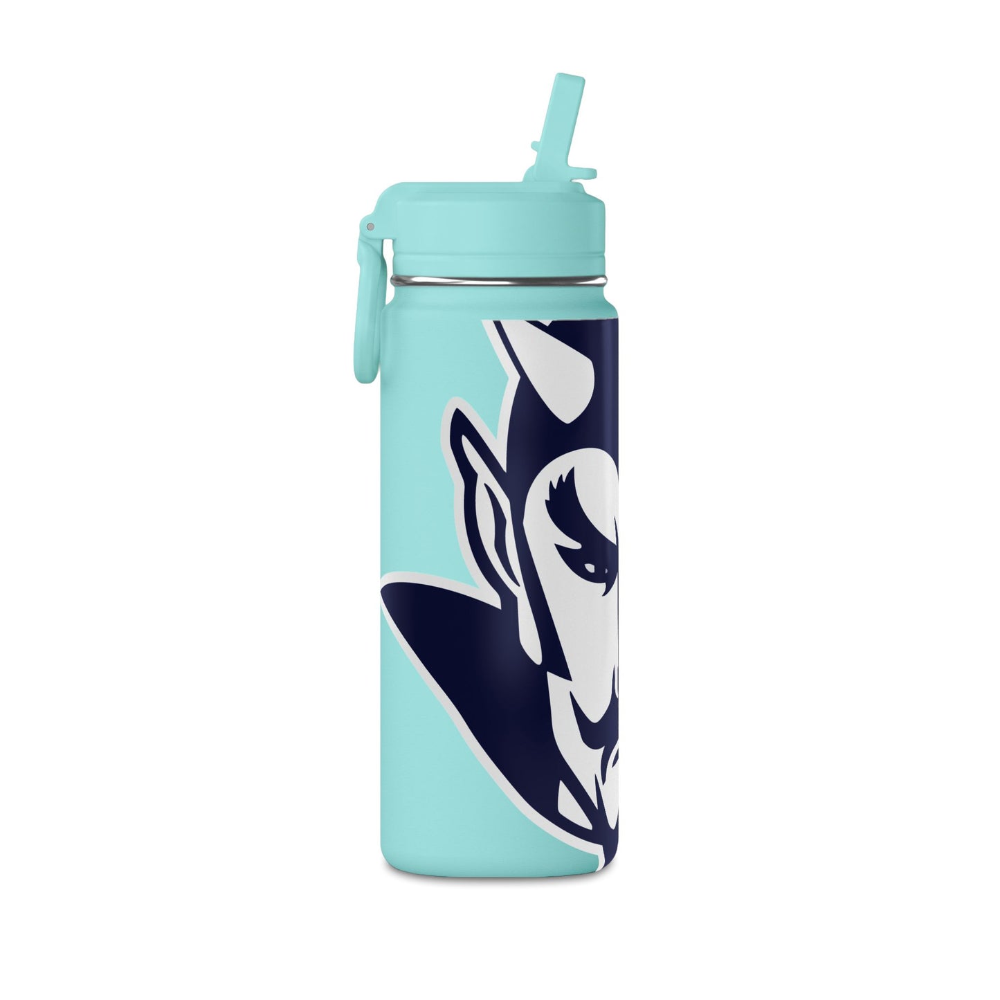 Mini Water Bottle, 20oz