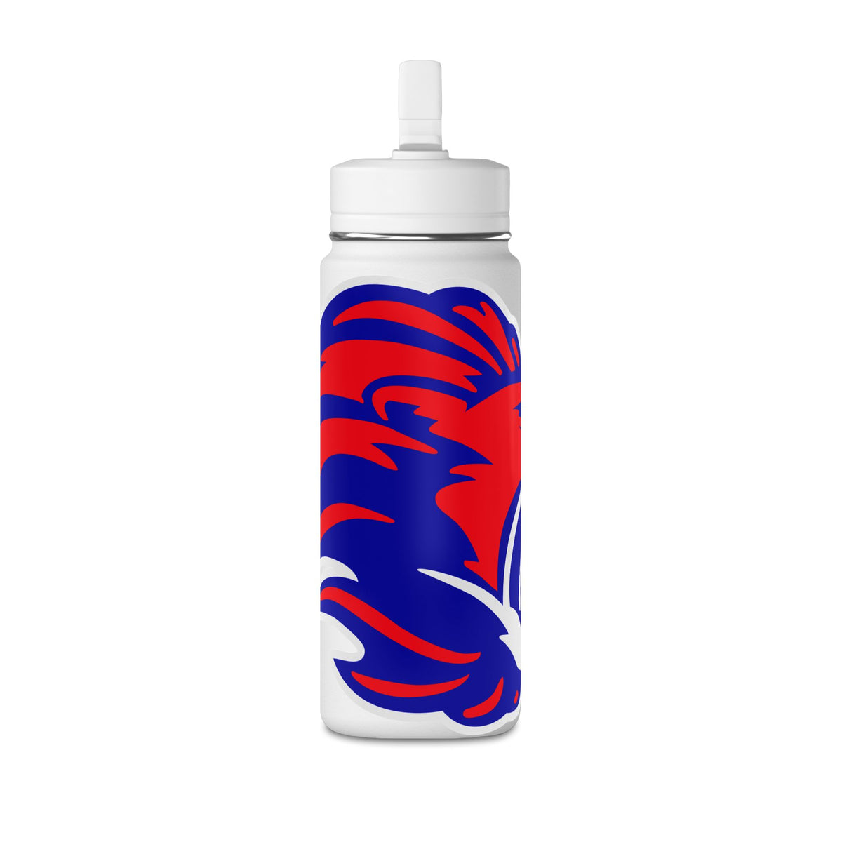 Mini Water Bottle, 20oz