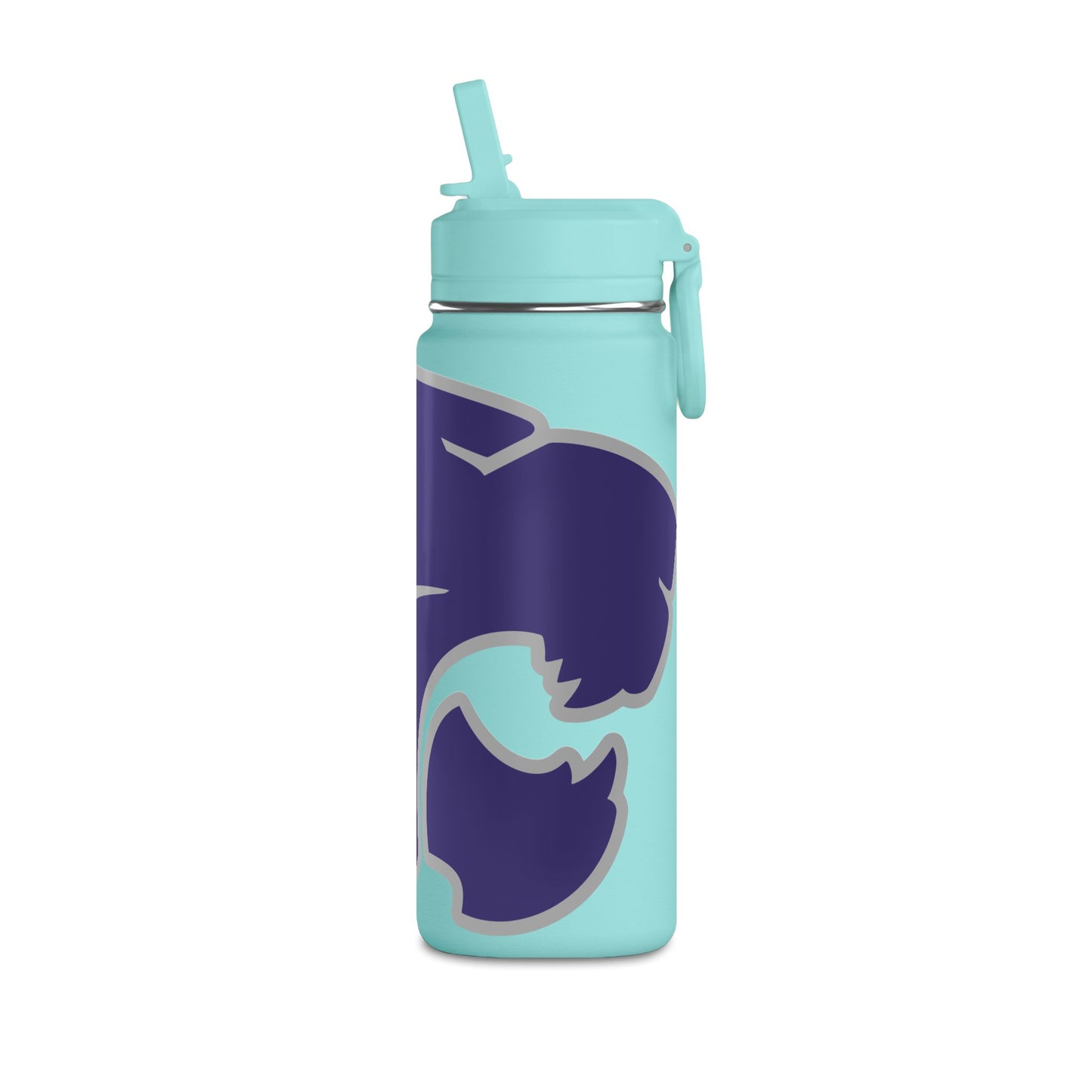 Mini Water Bottle, 20oz