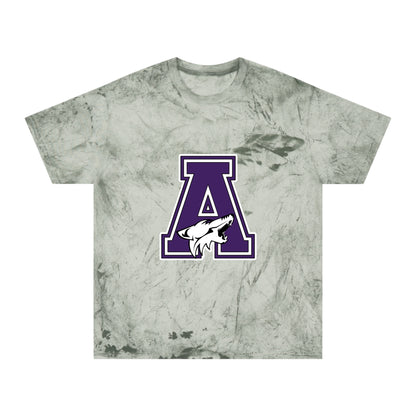 Color Blast School Spirit Tee