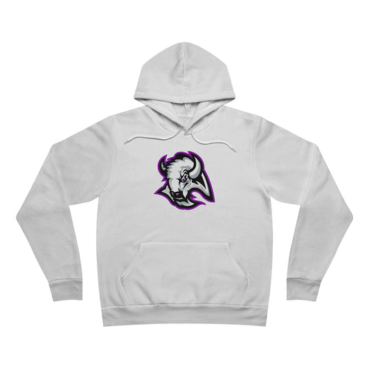 Sponge Fleece Pullover Hoodie