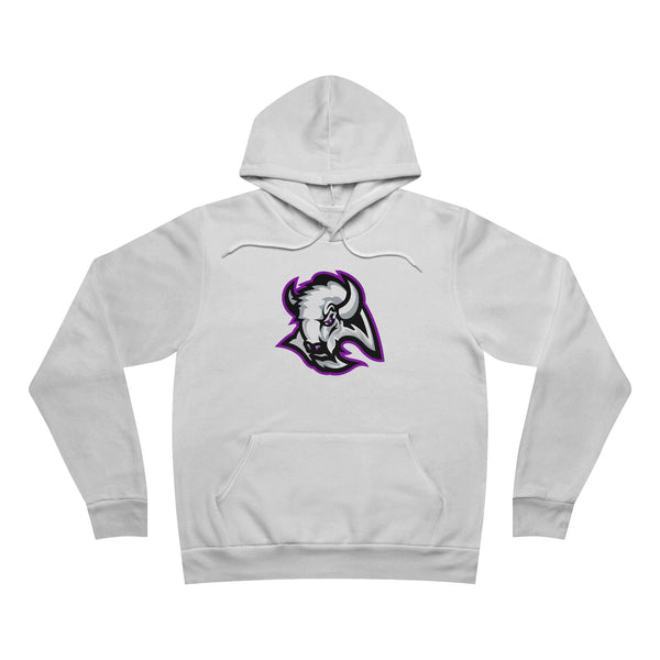 Sponge Fleece Pullover Hoodie