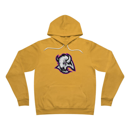 Sponge Fleece Pullover Hoodie