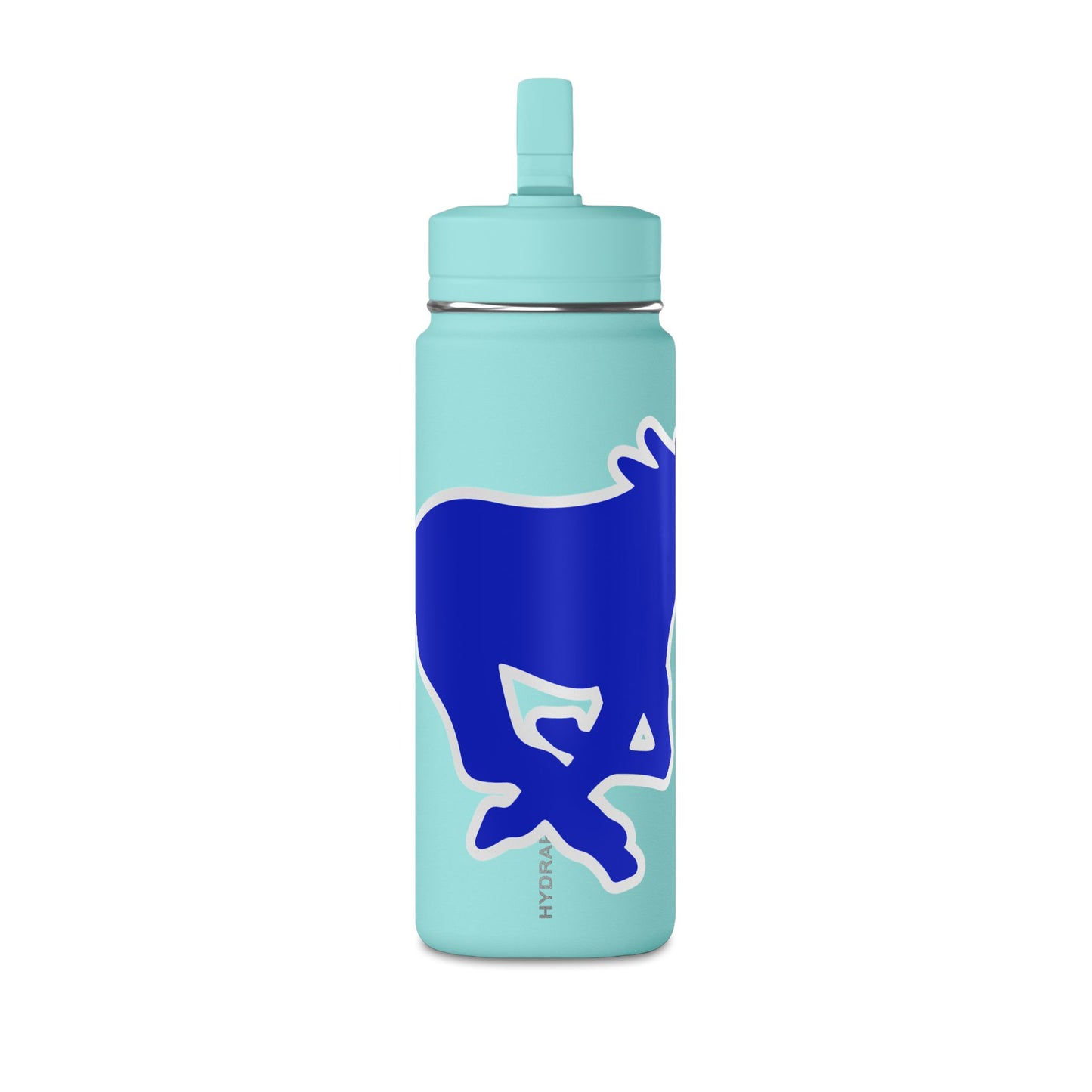 Mini Water Bottle, 20oz